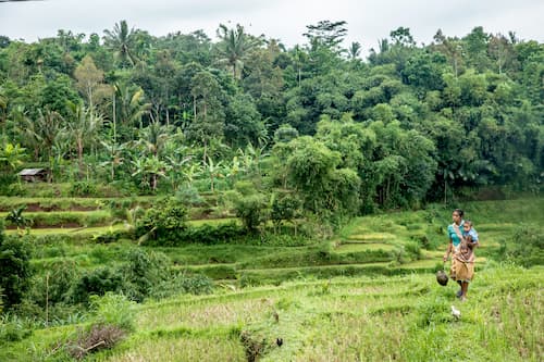 インドネシアのロンボク島　indonesia rombok village