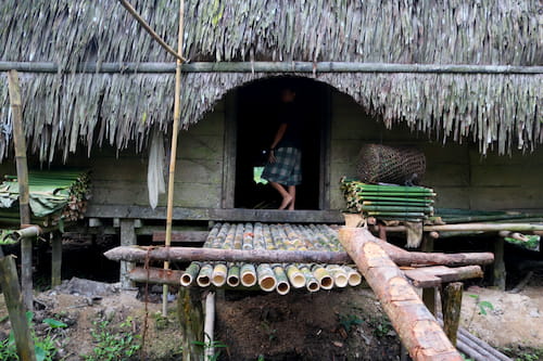 sibet-mentawai-uma　シベルート島メンタワイ族の住居ウマ