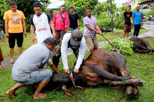 Indonesia EId-adha インドネシアのイード・アドハー