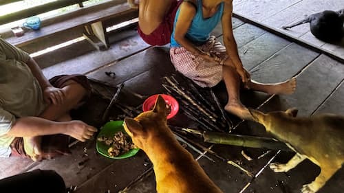 siberut-mentawai-tamra シベルート島メンタワイ族