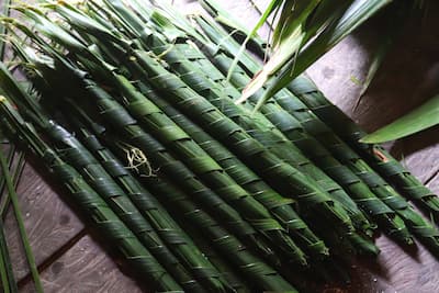 siberut-mentawai-sago シベルート島メンタワイ族の食事サゴ