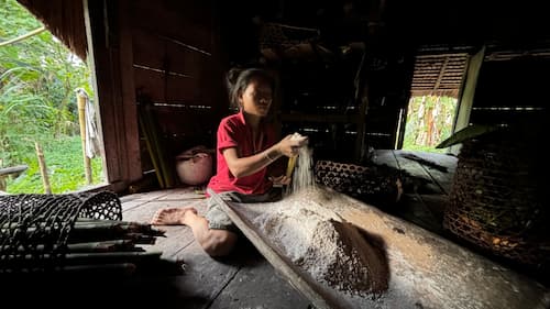 siberut-mentawai-tamra シベルート島メンタワイ族の食事サゴ