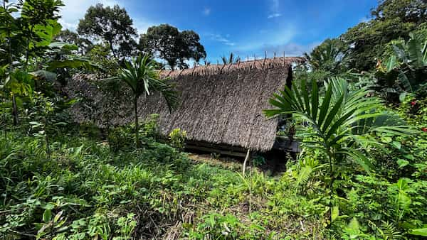 siberut-mentawai シベルート島メンタワイ族