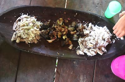 siberut-mentawai-food シベルート島メンタワイ族の食べ物