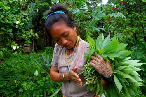 indonesia-siberut-mentawai-woman シベルート島メンタワイ族の女性