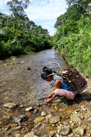 siberut mentawai シベルート島メンタワイ族