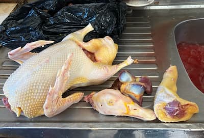 egypt-food-duck　エジプト料理