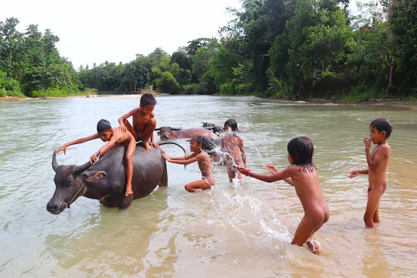 インドネシア スンバ島　indonesia sumba